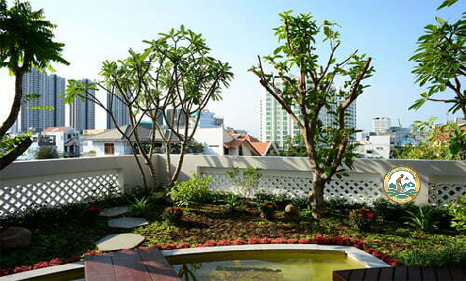 dịch vụ trồng cây trên sân thượng