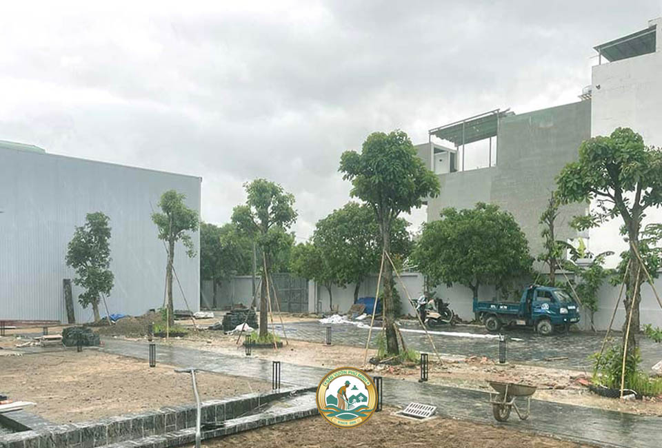 dịch vụ trồng cây xanh hà nội