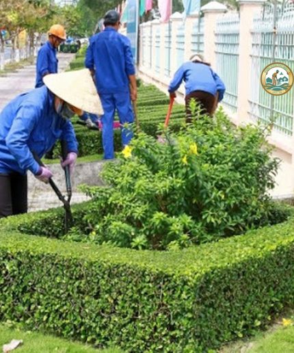 dịch vụ vệ sinh sân vườn