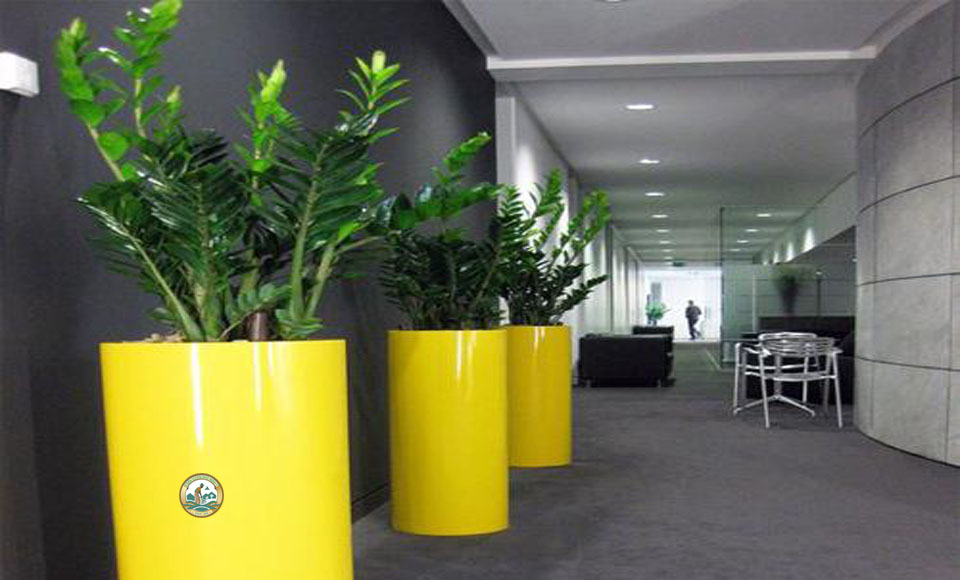 Giá Chậu cây composite