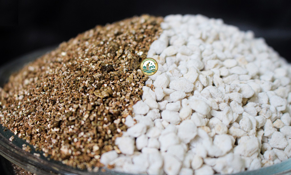 giá thể cây trồng