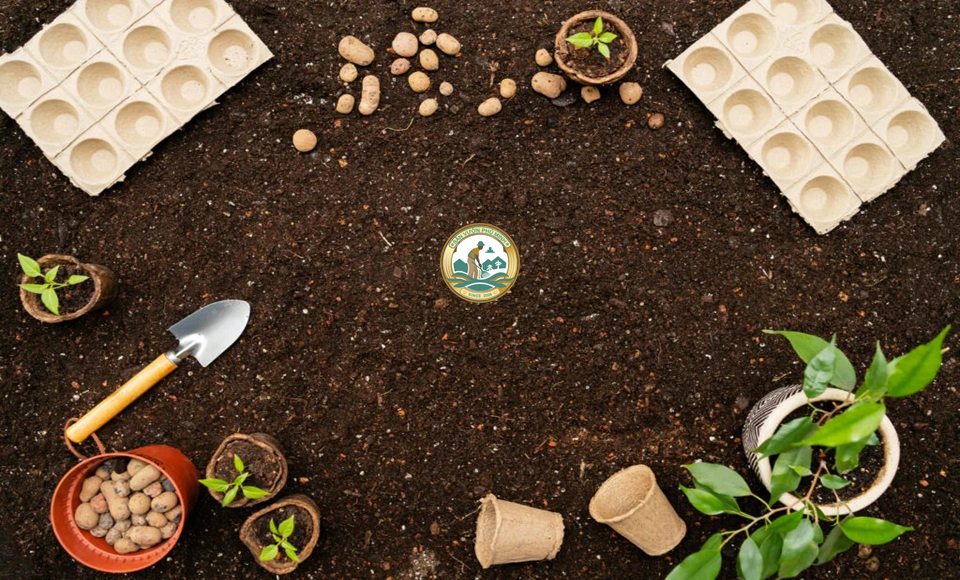 giá thể trồng cây tại hà nội