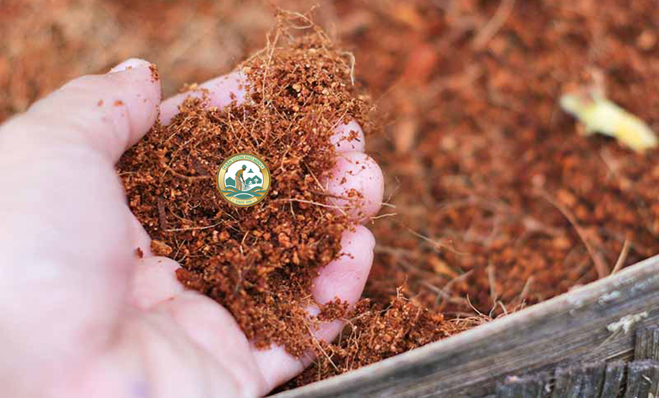 giá thể trồng cây