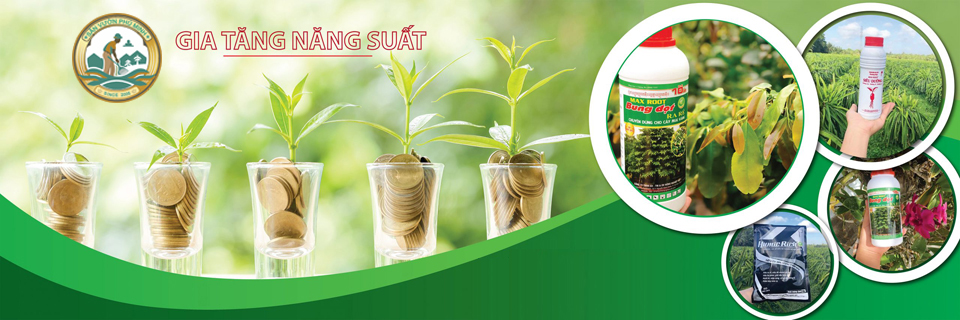 Phân bón cây của sân vườn phú minh