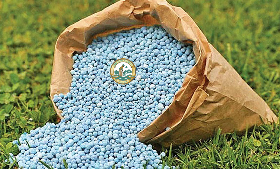 Phân bón trồng cây hà nội