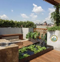 Thi công sân thượng