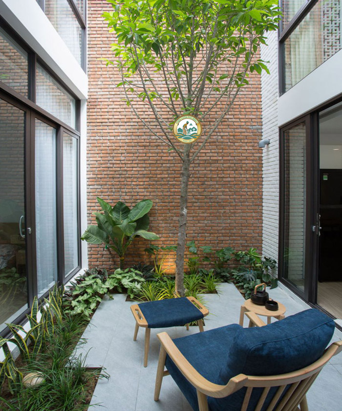 Tiểu cảnh trong nhà ống