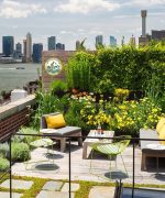 trồng cây sân thượng hà nội