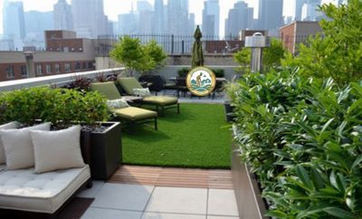 dịch vụ trồng cây xanh sân thượng