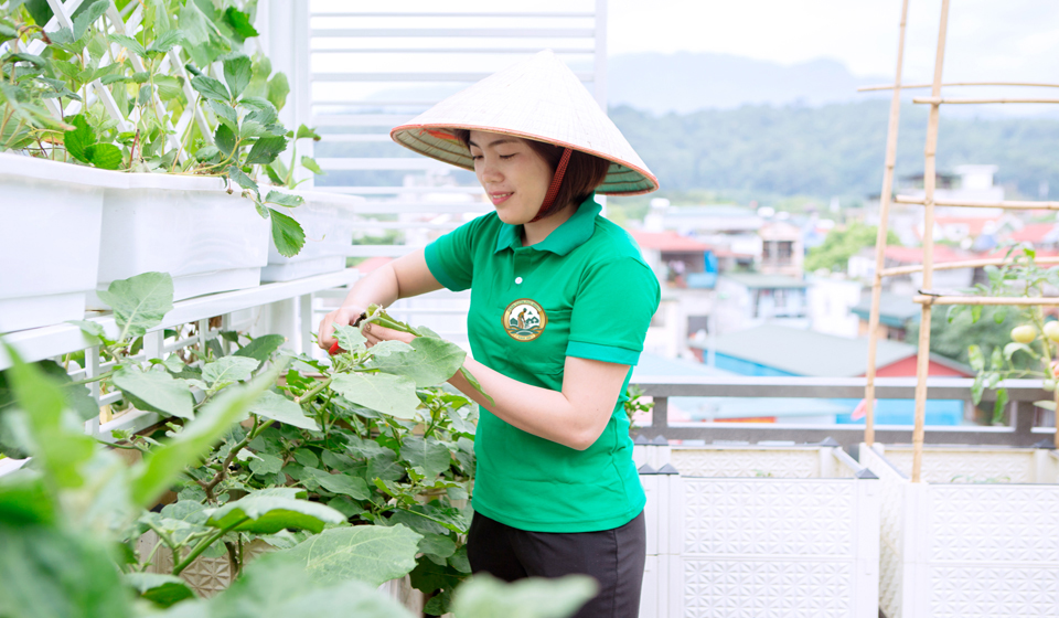 Tuyển dụng chăm sóc cây cảnh hà nội