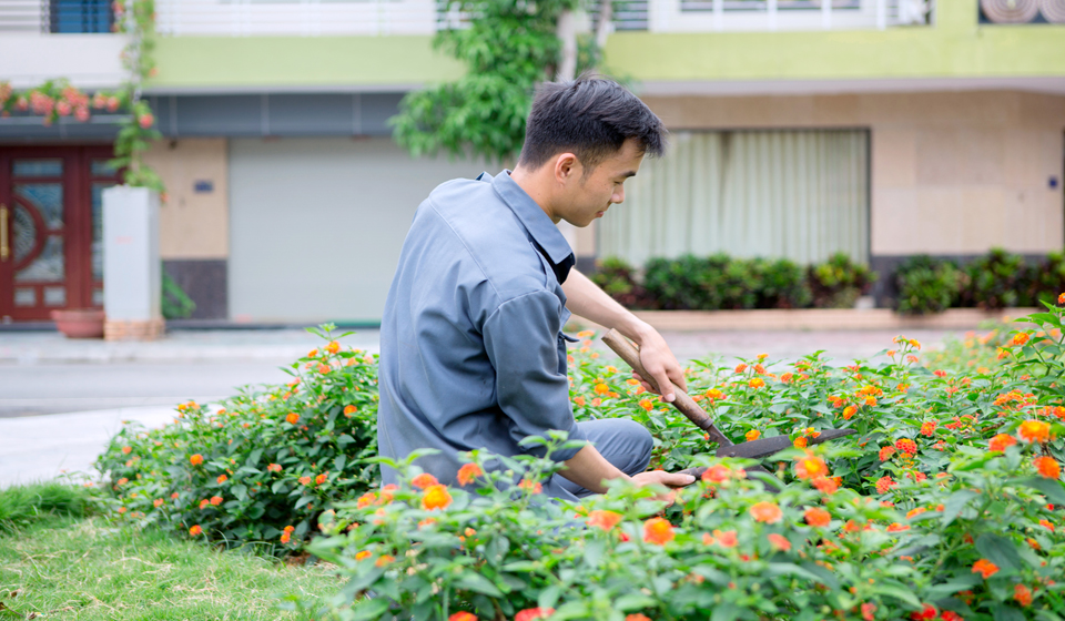 Tuyển nhân viên chăm sóc cây hà nội