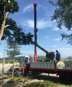 vận chuyển cây tại hà nội