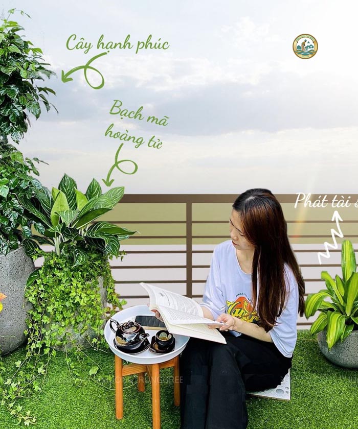 dịch vụ trồng cây ban công