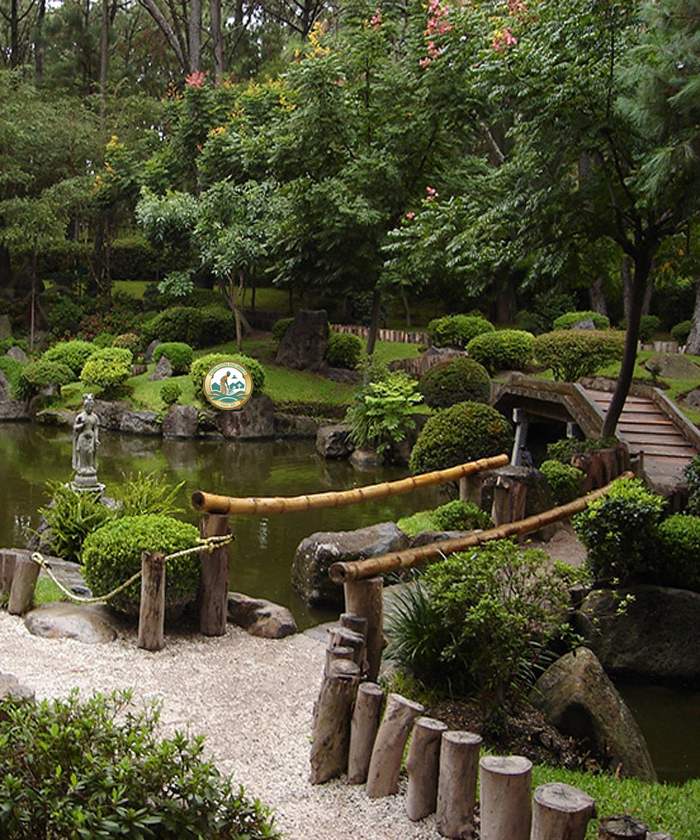 dịch vụ trồng cây sân vườn