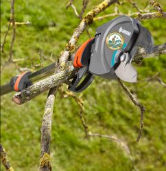 kéo tỉa cành cây trên cao