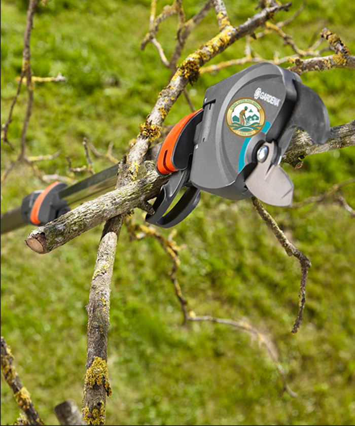 kéo tỉa cành cây trên cao