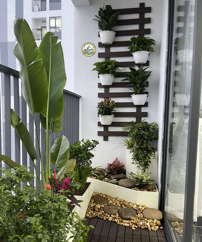 trồng cây ban công tại hà nội