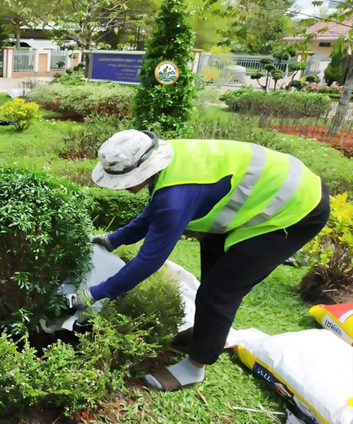 trồng cây sân vườn của sân vườn phú minh