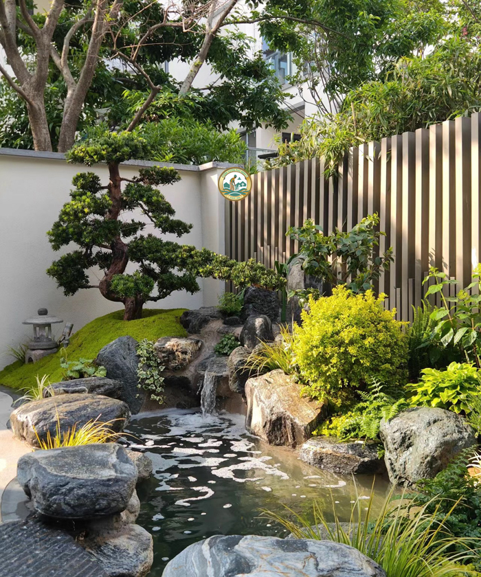 Trồng cây sân vườn giá rẻ