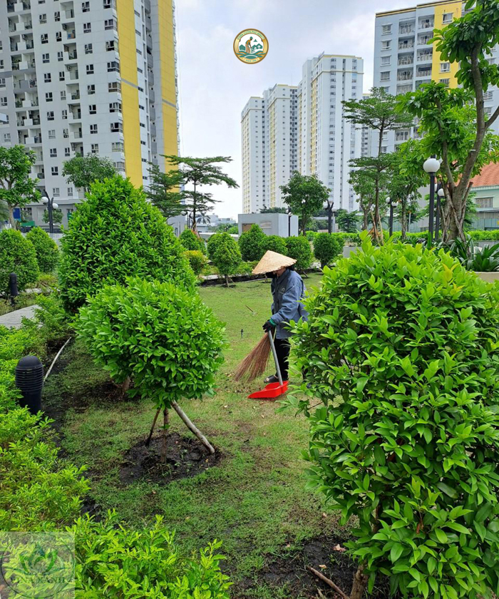 Trồng cây sân vườn hà nội