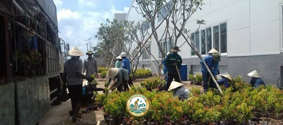 trồng cây sân vườn phú minh