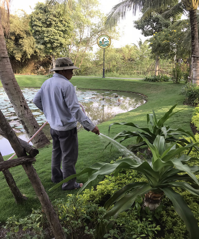 Trồng cây sân vườn tại hà nội