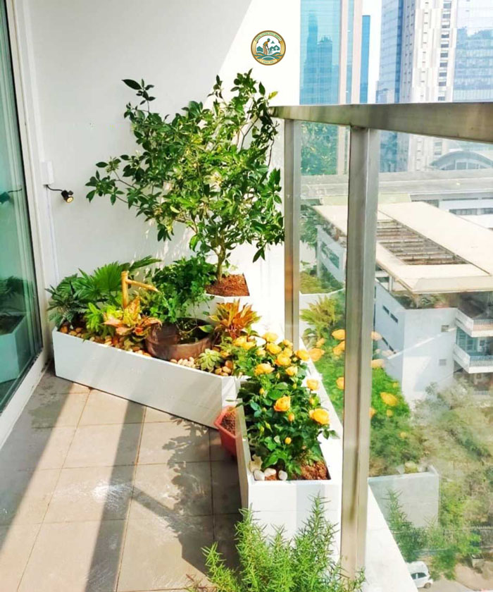 trồng hoa trên ban công