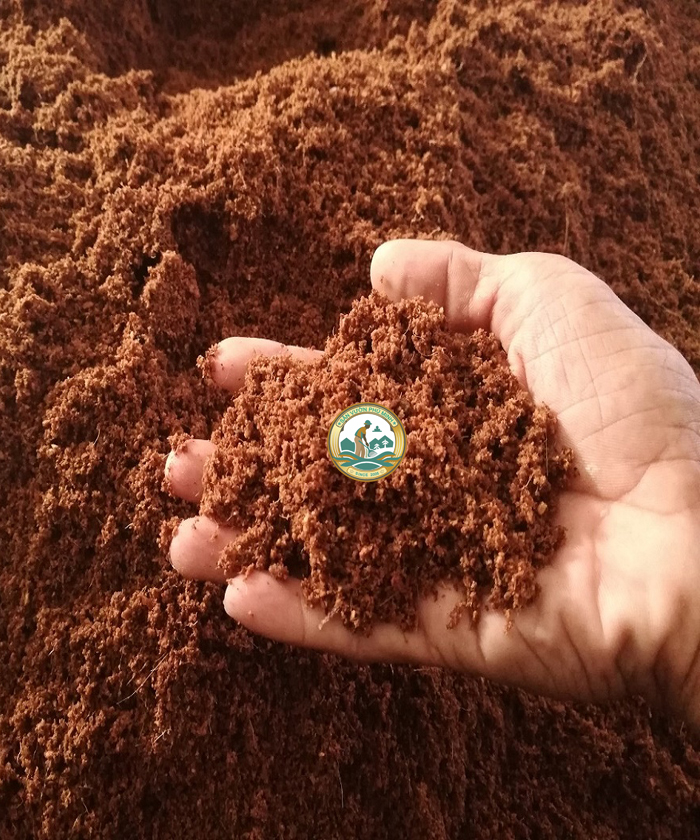 Bán mụn dừa đã qua xử lý tại Hà Nội