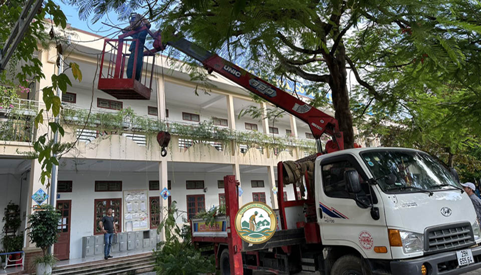 cắt tỉa cây xanh trường học