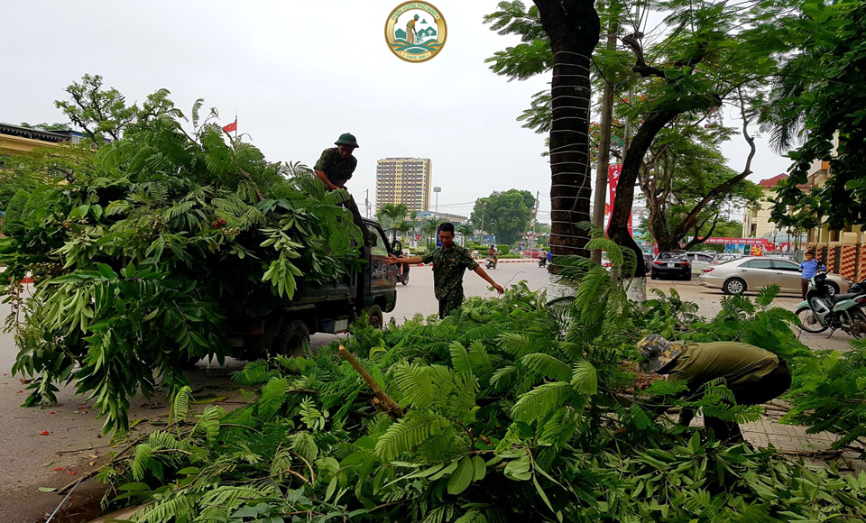 chặt cây xanh tại Hà Nội