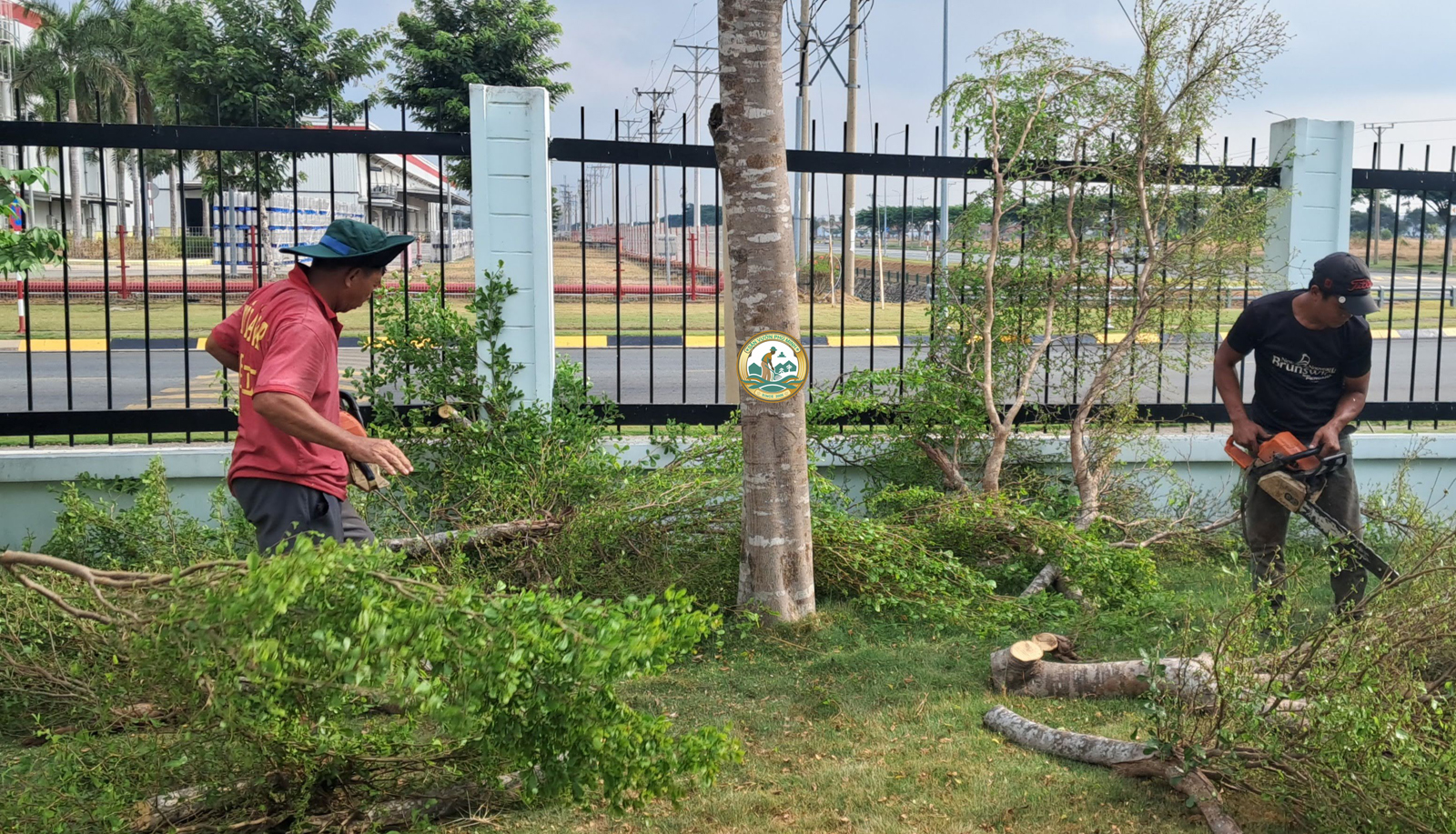 dịch vụ chặt cây xanh tại tây mỗ