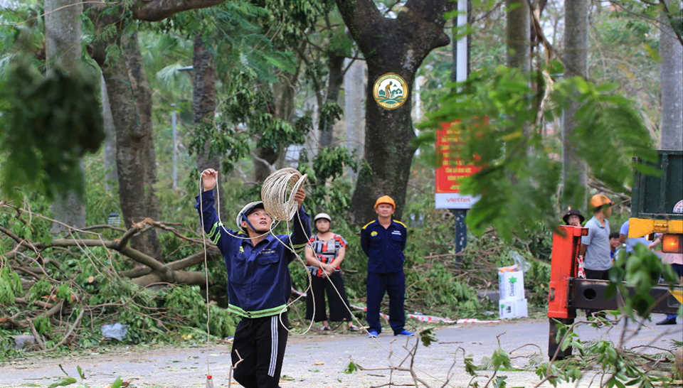 công nhân cắt tỉa cây xanh hà nội
