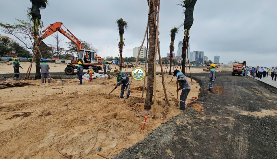 công nhân trồng cây xanh hà nội