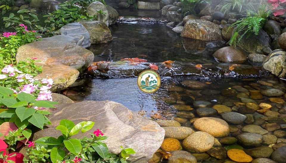 đá cuôi tiểu cảnh hà nội