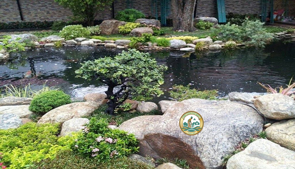 đá tiểu cảnh sân vườn ở Hà Nội