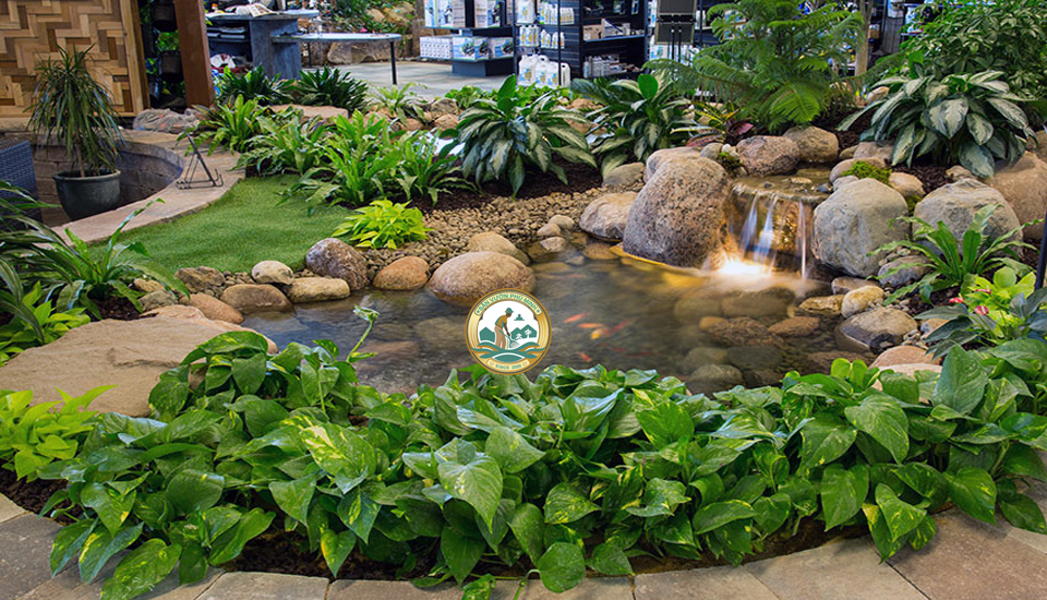 đá trang trí tiểu cảnh ở Hà Nội