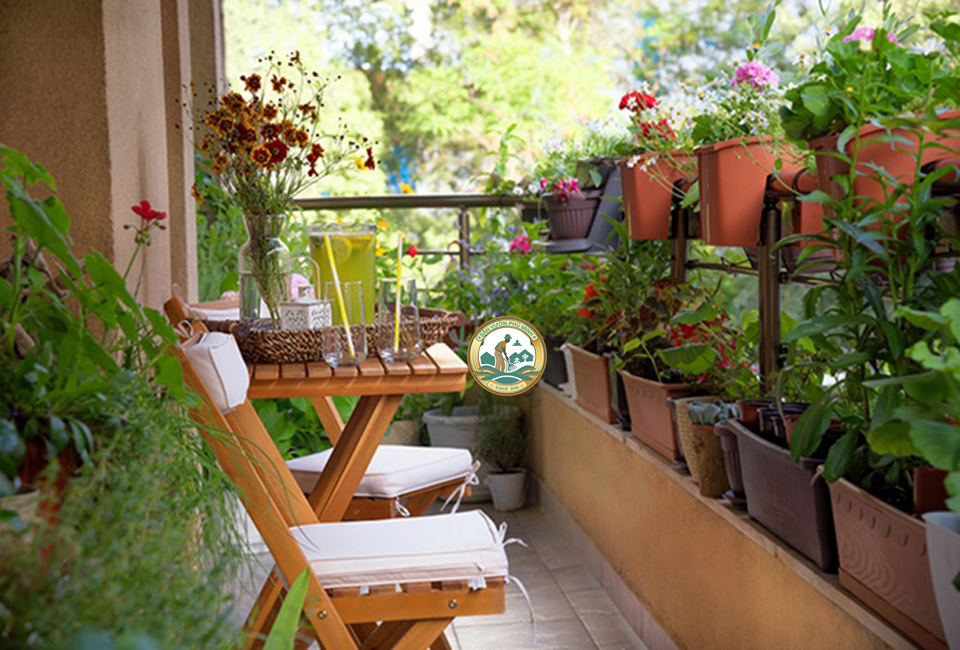 đất trồng cây ban công sân vườn Phú Minh