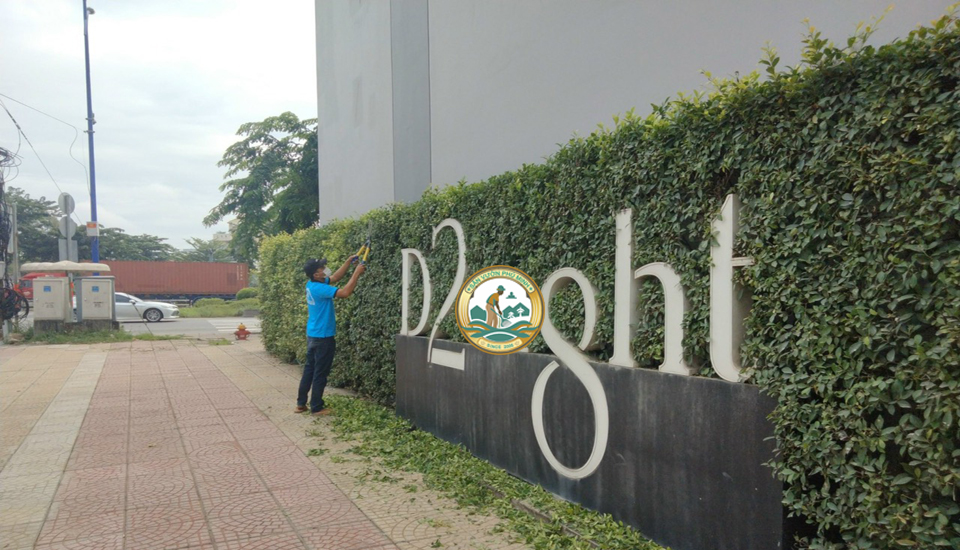 dịch vụ cắt tỉa cây xanh tại Hoài Đức