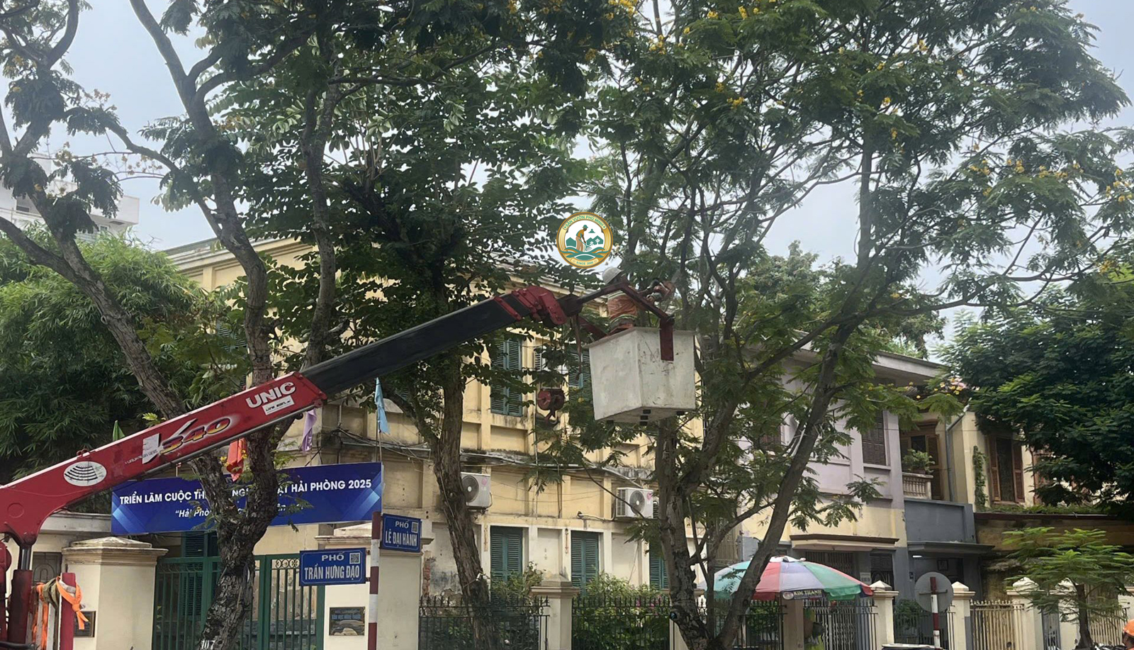 Dịch vụ cắt tỉa cây xanh tại Hoàn Kiếm