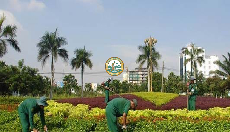 dịch vụ cắt tỉa cây xanh tại từ liêm