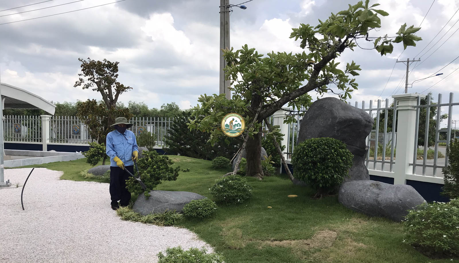 dịch vụ cắt tỉa cây xanh trước sân nhà