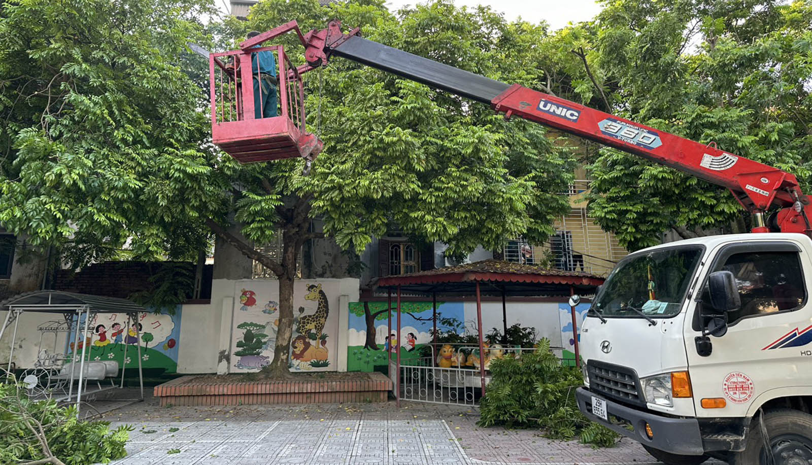 dịch vụ cắt tỉa cây xanh trường học