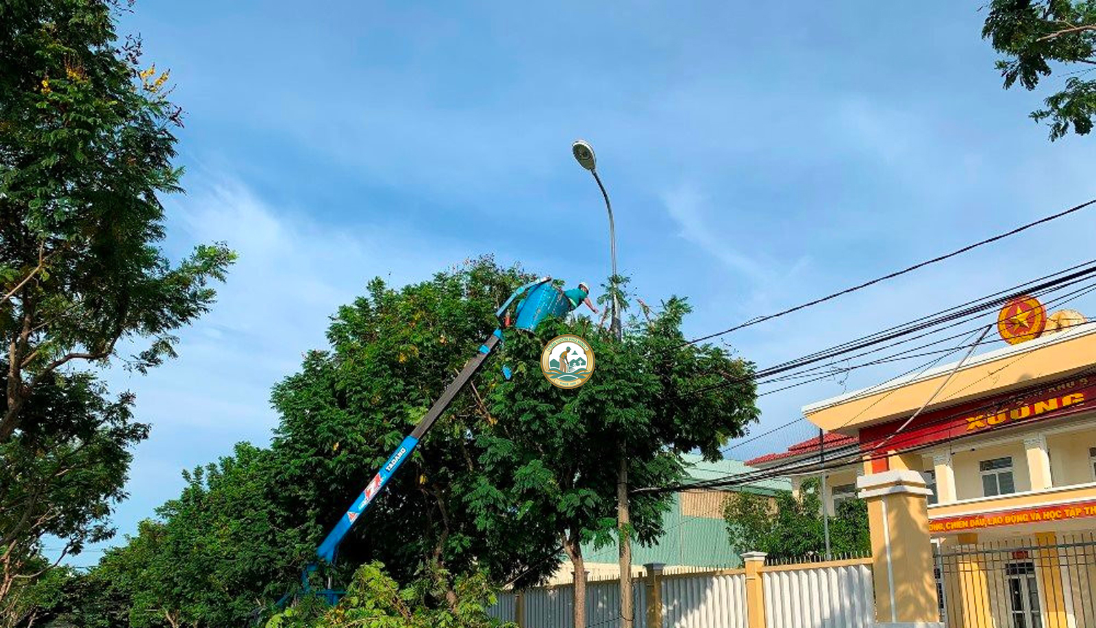 Dịch vụ chặt cây xanh tại Ba Đình