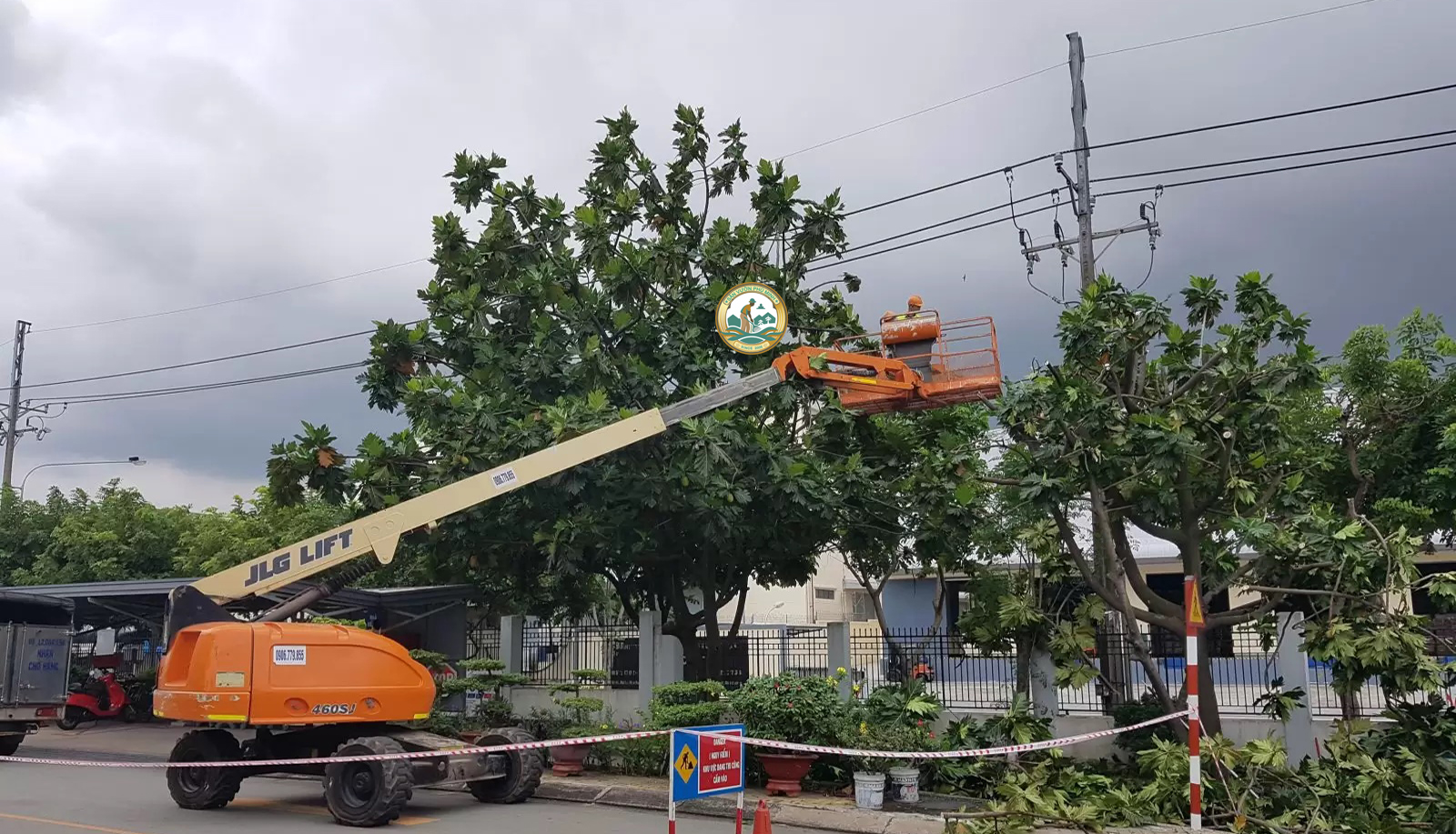 dịch vụ chặt cây xanh tại đống đa