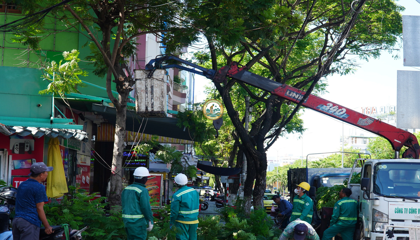 dịch vụ chặt cây xanh tại thanh xuân