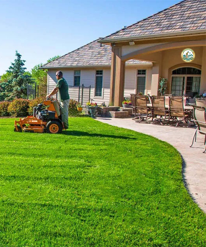 dịch vụ trồng cỏ giá rẻ