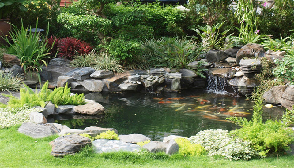 giá đá trang trí tiểu cảnh