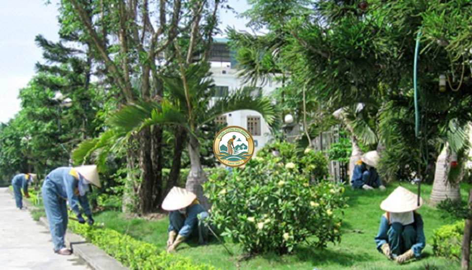 Mẫu hợp đồng cắt tỉa cây xanh