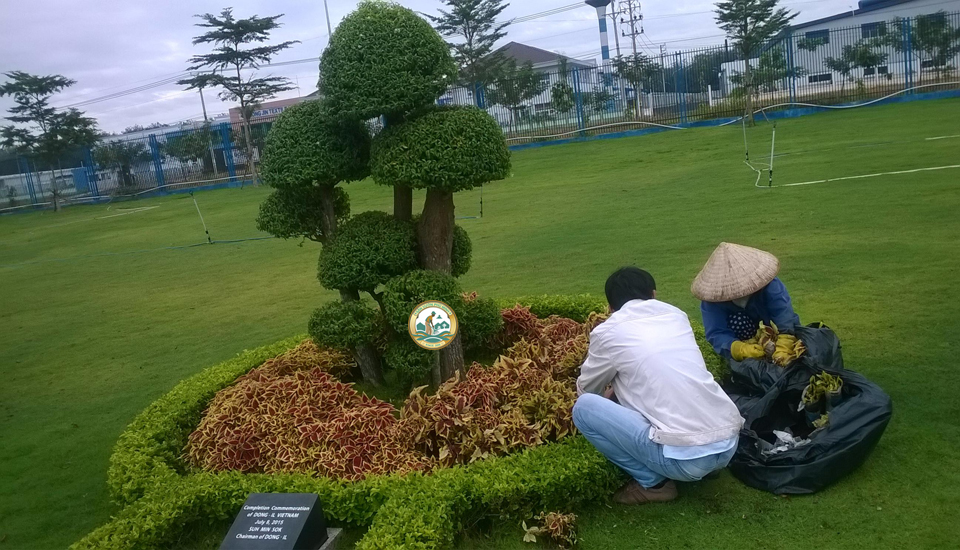 nghệ nhân chăm sóc cảnh quan sân vườn