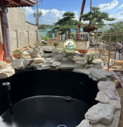 Thi Công Tiểu Cảnh Hòn Non Bộ tại Hà Nội